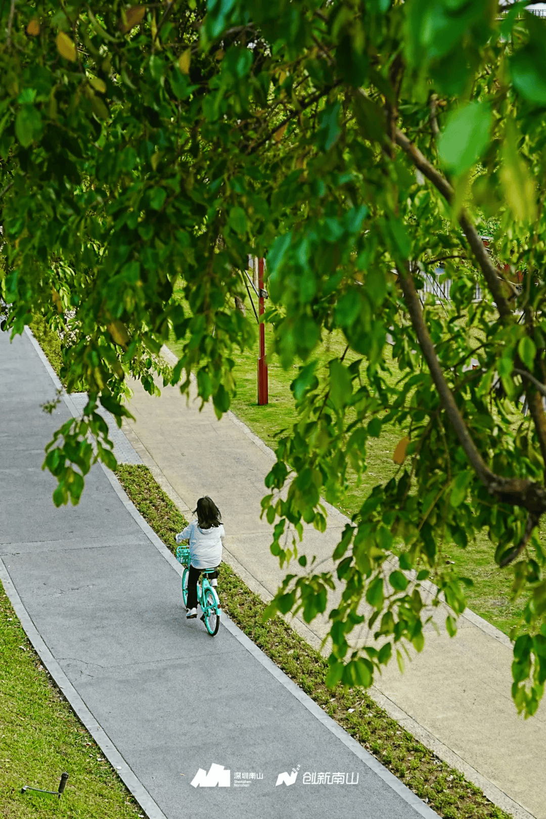全球总决赛，就在南山！