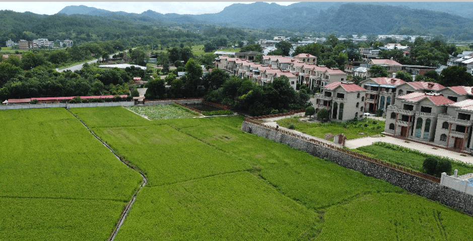 翰墨稻艺联手腾讯：讓(ràng)LOL英雄“扎根”瑞金老(lǎo)区，绘就助(zhù)农新图景